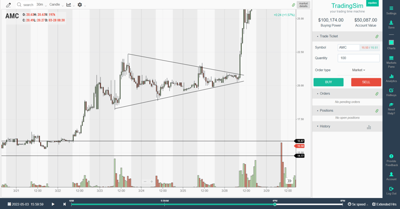 AMC bull flag vs pennant